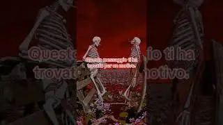 Il video ti ha trovato!