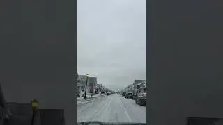 Snow days in Buffalo, NY