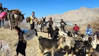 Taking refuge in a cave for survival|Forced migration of nomadic girls to survive the harsh winter❄️