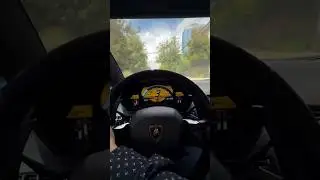Fire Breathing Monster: Aventador V12 POV