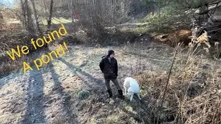 Apple Trees & A Pond! | Discovering the Hidden Treasures of this Old Homestead