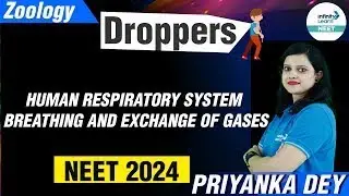 Human Respiratory System | Breathing and Exchange of Gases | #NEET2024 Zoology | Infinity Learn NEET