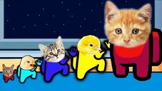 Tiny Chicken and Mini Crew Baby Cats | Distraction dance Among Us animation