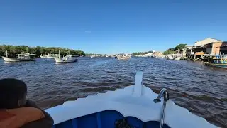 Andamos de barco e pegamos no filhote de tubarão 