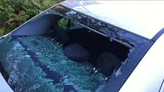 Mobile Windshield Replacement and Auto Glass Repairs