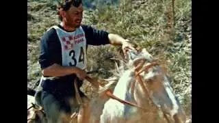CLIP-GASTON-3-50