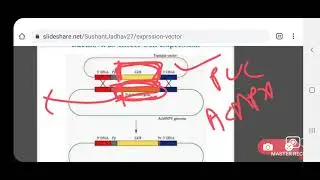 Asst.Prof.P.R.Shirsath:MB602 Molecular biology(Genome projects)