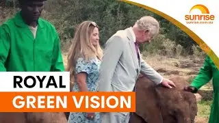 King Charles documentary explores environmental passion | Sunrise