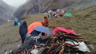 The Best Nepali Mountain Village Life || Daily Hard Working Himalayan Shepherd  Life