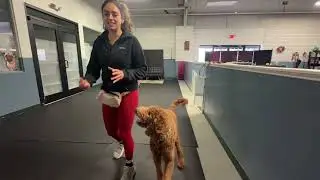 Sadie place and walk 