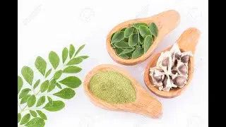 Moringa species diversity