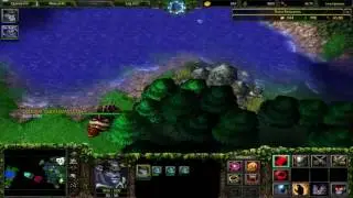 Warcraft 3 The Frozen Throne - Night Elf - Chapter 8 - The Brother's Stormrage (Hard)