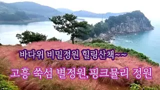 🍂[고흥쑥섬여행] 바다위 비밀 정원,핑크뮬리, 별정원 야생화 팜파스, 코스모스,아름다운 풍경,#힐링시간 🎶그대~이연실,김영균