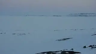 ASMR - melting snow for Tea in remote Arctic Tundra with black Husky
