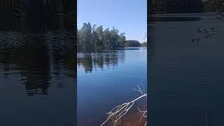 So peaceful 🙏🏼🌿💨 #nature #sweden #swedishnature
