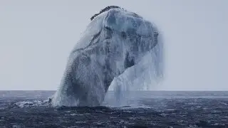 Sea Monster Breach | Houdini FLIP Fluid Simulation