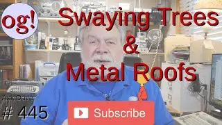 Swaying Trees and Metal Roofs (#445)