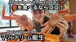 道の駅マリンドーム能生でベニズワイガニ爆食！カニ天国に溺れてきました Crab Feast at Marine Dome Nou: Savoring Niigata&rsquo;s Red Snow Crab