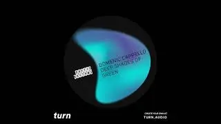 Domenic Cappello - Deep shades of Green (Ghetto rhythms records)