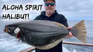 Halibut Fishing Aboard Aloha Spirit!