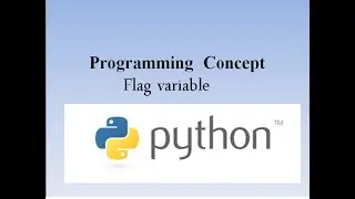 flag variable in python|flag in python