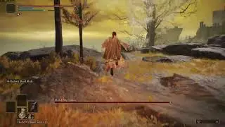 Black Knife Assassin Altus Plateau Falling Cheese | Elden Ring |