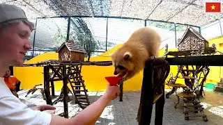 Feeding the Weirdest Animals in Da Lat, Vietnam (Capybaras & Raccoons)
