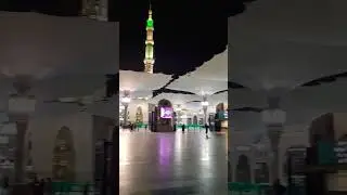 المدينة المنورة