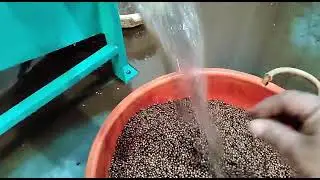 White pepper Washing Machine,