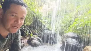 Entrei na mata à procura de um animal, encontrei um paraíso!