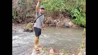 mancing lunjar babon
