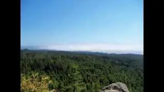Increase The Peace (In Humboldt)