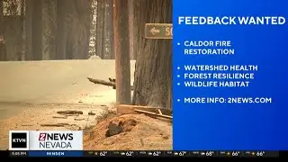 Forest Service looking for feedback on future Caldor Fire Restoration Projects