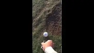 Ball flight laws/Physics