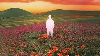 Man With Roses - Caffeine (Remastered) (Official Audio)