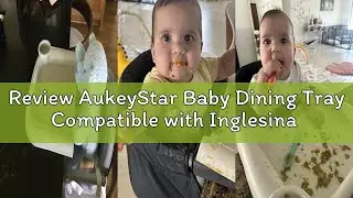 Review AukeyStar Baby Dining Tray Compatible with Inglesina Fast Table Chair Silicone Baby Feeding T