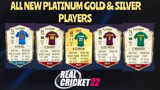 All New Platinum Gold & Silver Players In Real Cricket 22 Multiplayer Mode 🤩  Part 6 #rc22