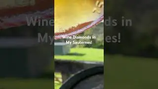 Wine Diamonds in my Sauternes?!! #crystals #tartrates #winediamonds #sauternes #wine #dcamw