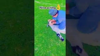 Nice acting👌 #trending #video #viral #viralvideo #funny #acting #youtubeshorts #animals