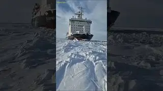 5 Amazing Facts About Cargo, Ice Breakers & Cruise Ship