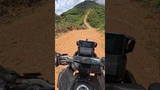 Tiger 900 Rally Pro Powers Up a Steep Climb
