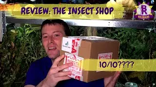 UNBOXING & REVIEW from The Insect Shop!