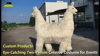 Eye Catching Two Person Creative Costume for Events | Custom products