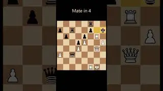 Mate in 4! Chess puzzle. Can you see it?