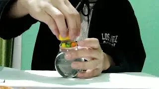 Diy fuse bulb home decoration ideas//waste materials//🙂🙂