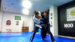 Descubre lo que pocos conocen:  HAPKIDO Moo Hak Kwan!!!