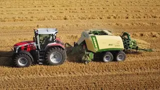 Massey Ferguson MF 8 S 265 & Krone BIG PACK 1270 1290 VC HIGHSPEED am Stroh pressen / Quaderballen