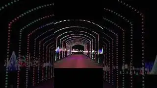 Expedition Edinger / Exploring Tennessee / Dancing Lights Short