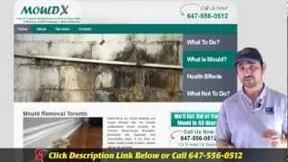 Mold Removal Toronto - Call 647-496-5842 - Your #1 Trusted Mould Removal Company In Toronto