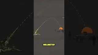 The Power of 155mm Artillery Shells